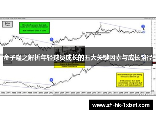 金子隆之解析年轻球员成长的五大关键因素与成长路径